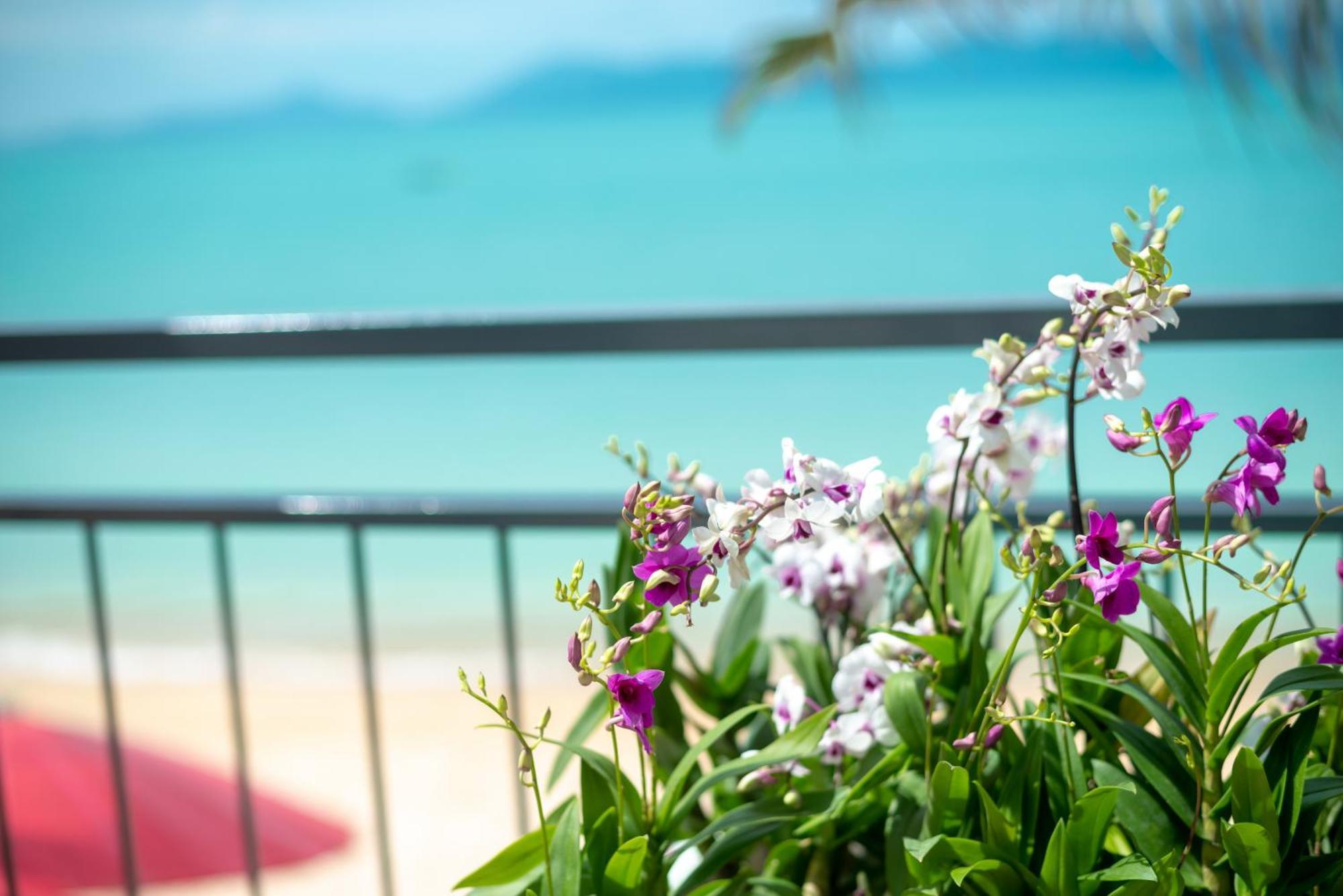 The Florist Resort Mae Nam Zewnętrze zdjęcie